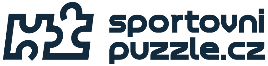 sport puzzle logo